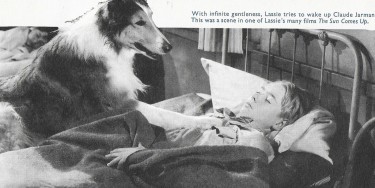 Lassie 3