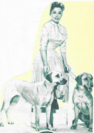 Jeanne Crain with her dogs 2