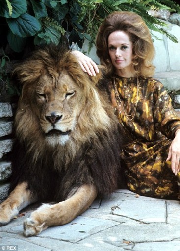 Tippi Hedren with her Pet Neil The Lion