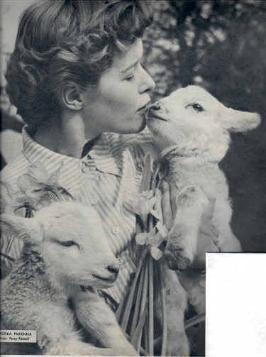 Virginia McKenna with Lambs