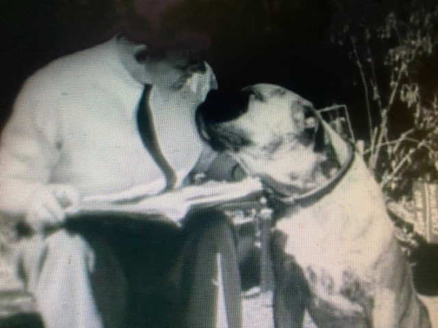 » Blog Archive » The Riddle of Robin Hood 1952