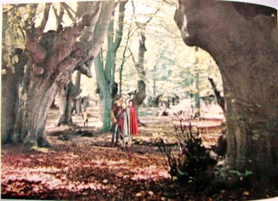 This image has an empty alt attribute; its file name is Filming-at-Burnham-Beeches-Robin-Hood-1952-560x473.jpg